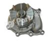 IPS Parts IPW-7K09 Water Pump
